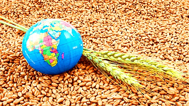 اليمن ضمن 4 دول عربية في قلب أزمة الغذاء العالمية